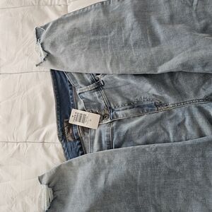 Torrid Light Blue Women Jeans